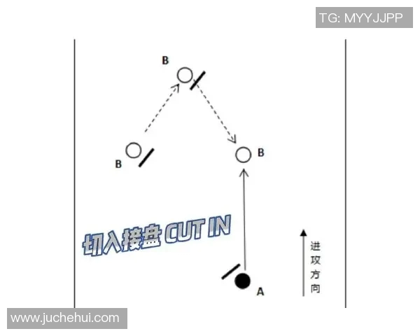从零开始掌握飞盘技巧与战术全解析助你轻松入门飞盘运动