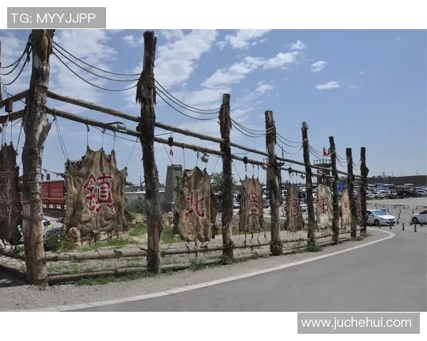 上海乒乓球队逆袭之旅挑战赛特别报道展现团队精神与拼搏意志